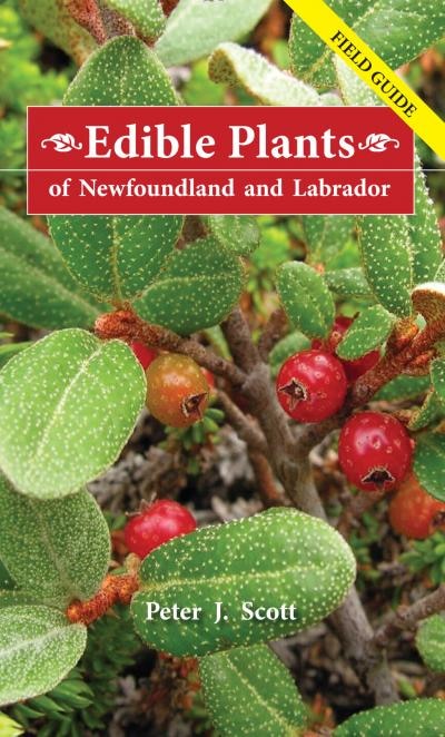 Edible Plants of Newfoundland and Labrador by Peter Scott, Paperback | Indigo Chapters