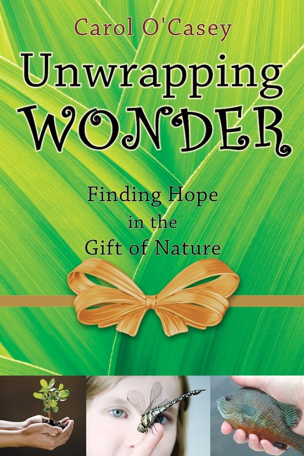 Unwrapping Wonder by Carol O'Casey, Paperback | Indigo Chapters