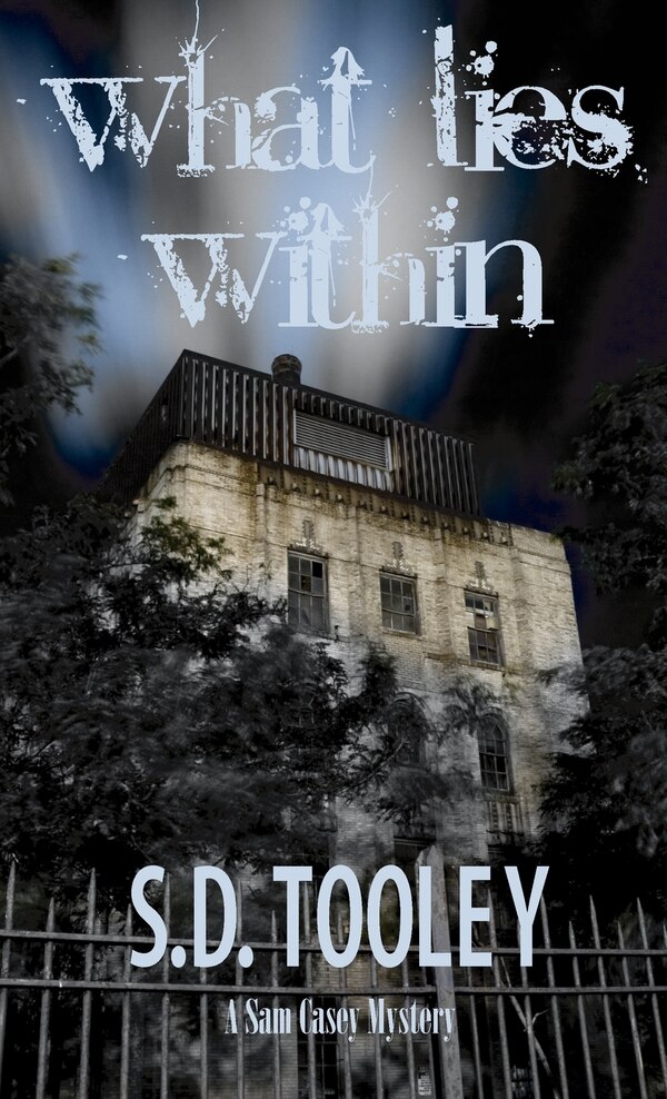 What Lies Within by S D Tooley, Hardcover | Indigo Chapters