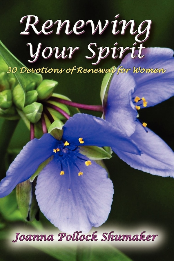 Renewing Your Spirit by Joanna Pollock Shumaker, Paperback | Indigo Chapters