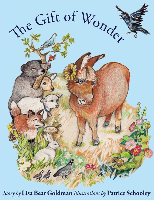 The Gift of Wonder by Lisa Bear Goldman, Paperback | Indigo Chapters