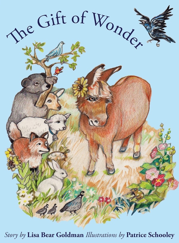 The Gift of Wonder by Lisa Bear Goldman, Hardcover | Indigo Chapters