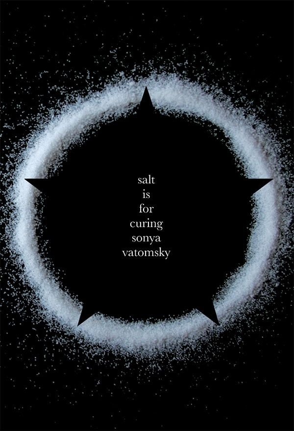 Salt is for Curing by Sonya Vatomsky, Paperback | Indigo Chapters