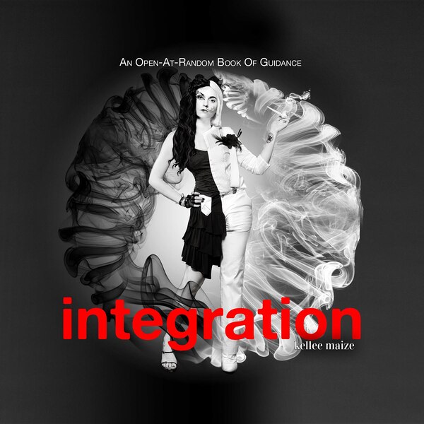 Integration by Kellee Maize, Paper over Board | Indigo Chapters