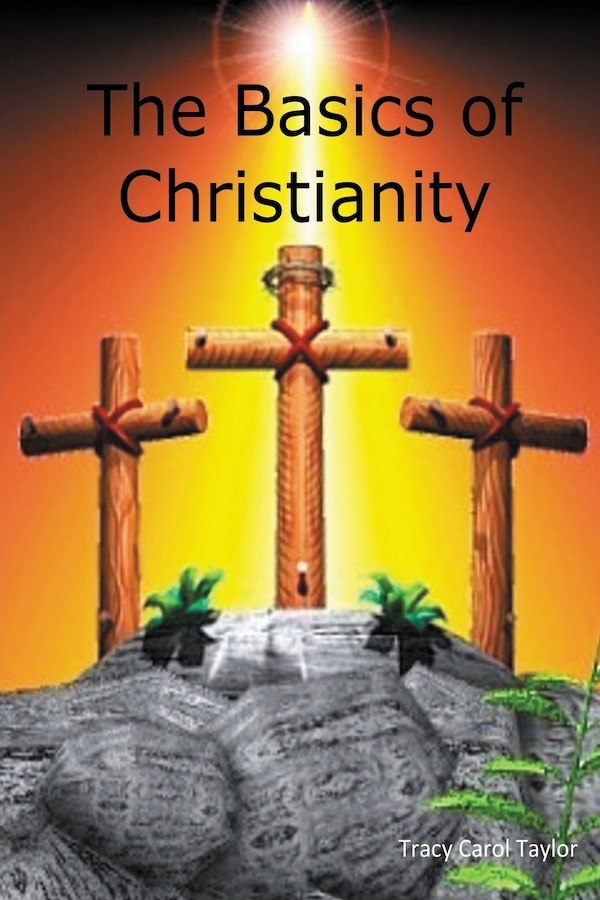 Basics of Christianity by Tracy Carol Taylor, Paperback | Indigo Chapters