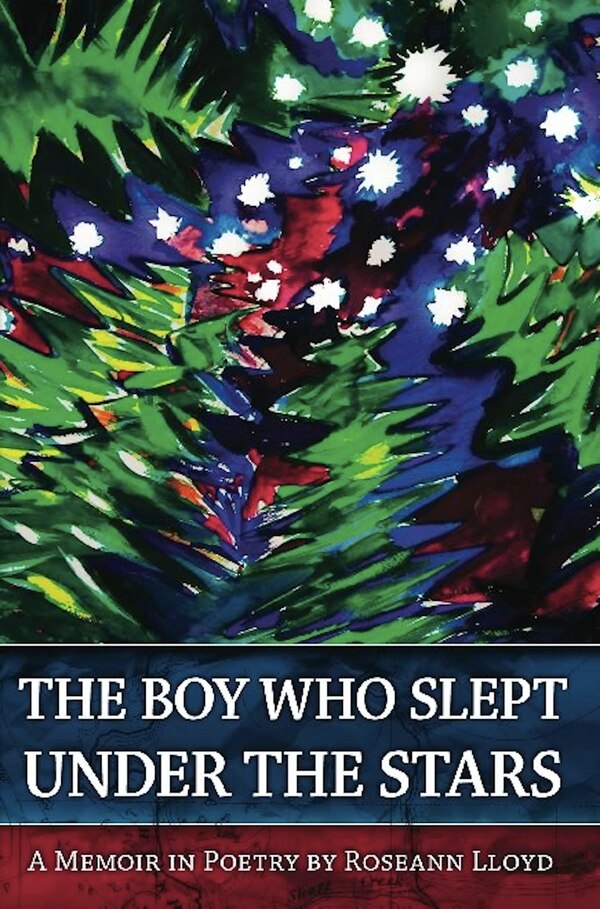 The Boy Who Slept Under the Stars by Roseann Lloyd, Paperback | Indigo Chapters