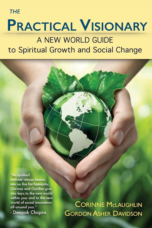 The Practical Visionary by Gordon Asher Davidson, Paperback | Indigo Chapters