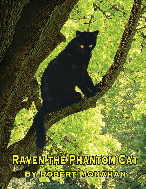 Raven The Phantom Cat by Robert Monahan, Paperback | Indigo Chapters