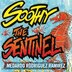Soothy the Sentinel by Medardo Rodriguez Ramirez, Paperback | Indigo Chapters