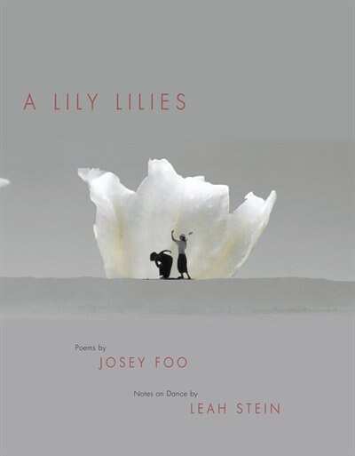 A Lily Lilies by Josey Foo, Paperback | Indigo Chapters