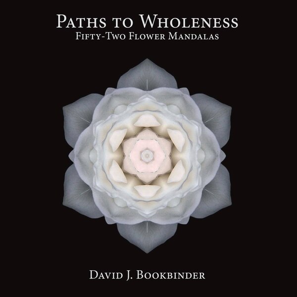 Paths To Wholeness by David J. Bookbinder, Paperback | Indigo Chapters