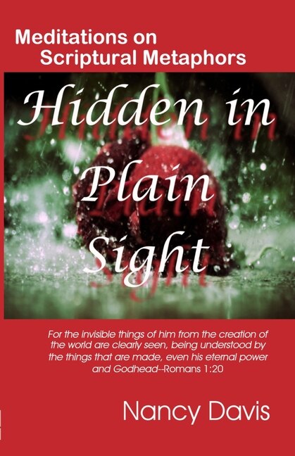 Hidden in Plain Sight by Nancy Davis, Paperback | Indigo Chapters