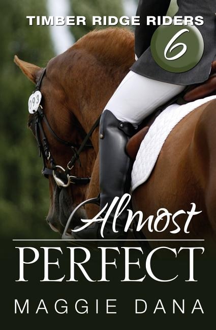 Almost Perfect by Maggie Dana, Paperback | Indigo Chapters