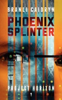 Phoenix Splinter by Branli Caidryn, Paperback | Indigo Chapters