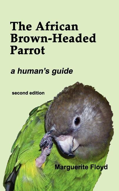 The African Brown-Headed Parrot by Marguerite Floyd, Paperback | Indigo Chapters