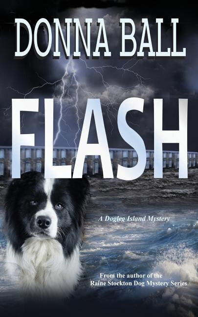 Flash by Donna Ball, Paperback | Indigo Chapters