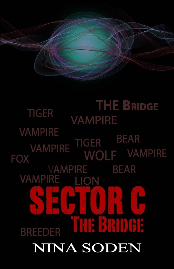 SECTOR C The Bridge by Nina Soden, Paperback | Indigo Chapters