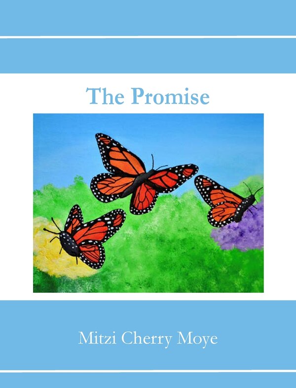 The Promise by Mitzi C Moye, Hardcover | Indigo Chapters
