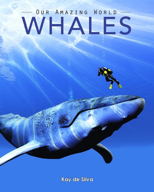 Whales by Kay de Silva, Paperback | Indigo Chapters