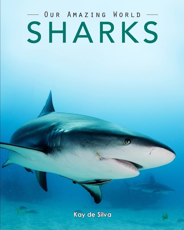 Sharks by Kay de Silva, Paperback | Indigo Chapters