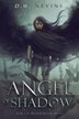 Angel of Shadow by D H Nevins, Paperback | Indigo Chapters