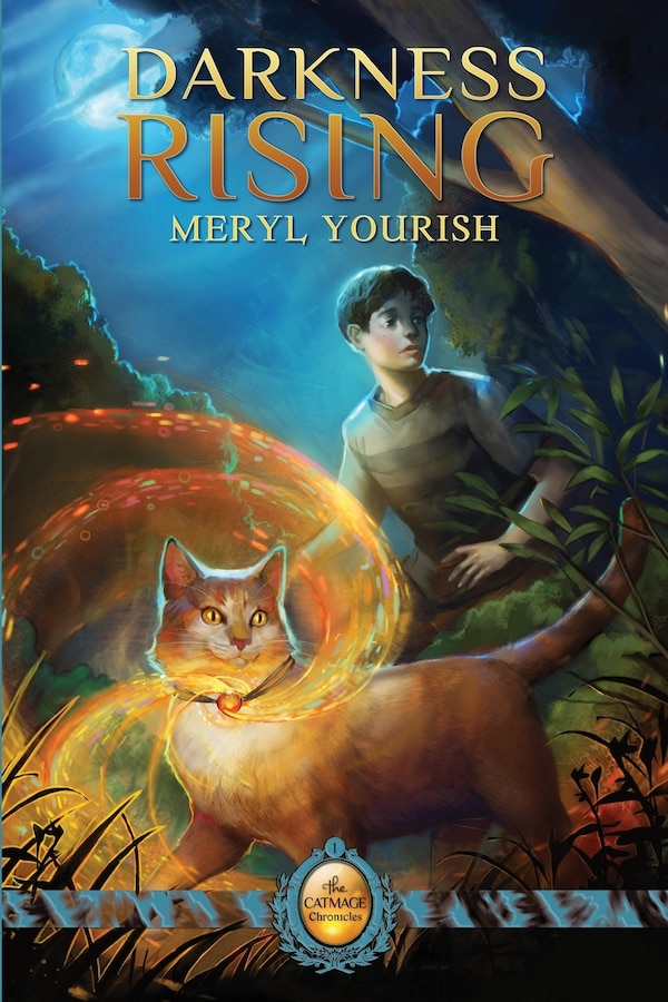 Darkness Rising by Meryl Yourish, Paperback | Indigo Chapters