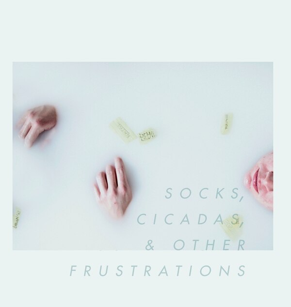 Socks Cicadas & Other Frustrations by Moriah Claud, Hardcover | Indigo Chapters