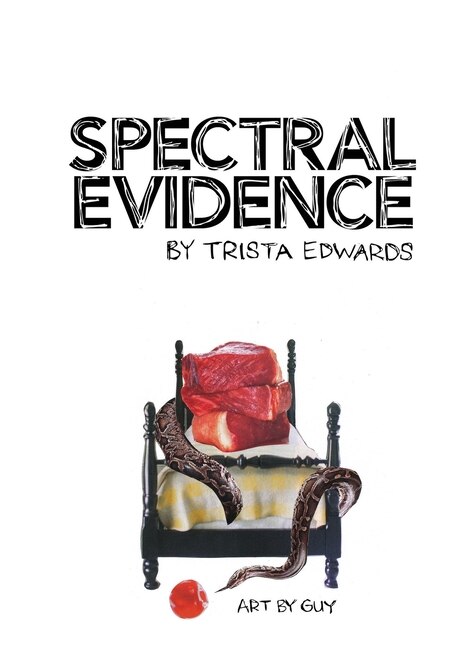 Spectral Evidence by Trista Edwards, Paperback | Indigo Chapters