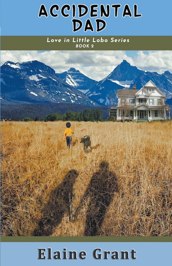Accidental Dad by Elaine Grant, Paperback | Indigo Chapters