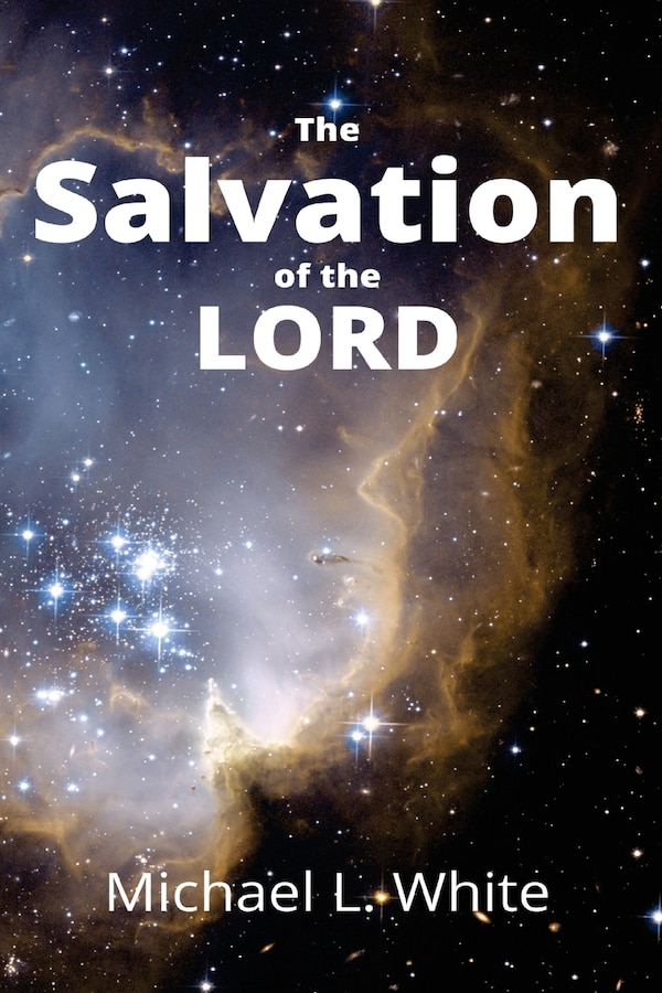 The Salvation of the LORD by Michael L White, Paperback | Indigo Chapters