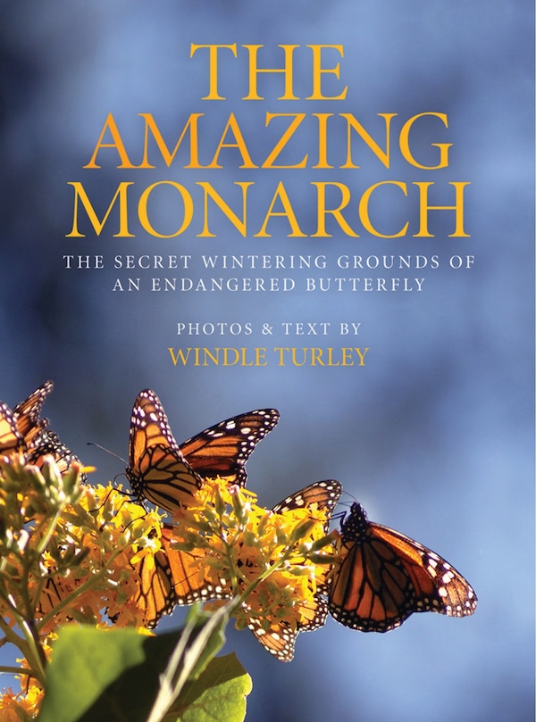 Amazing Monarch by Windle Turley, Hardcover | Indigo Chapters