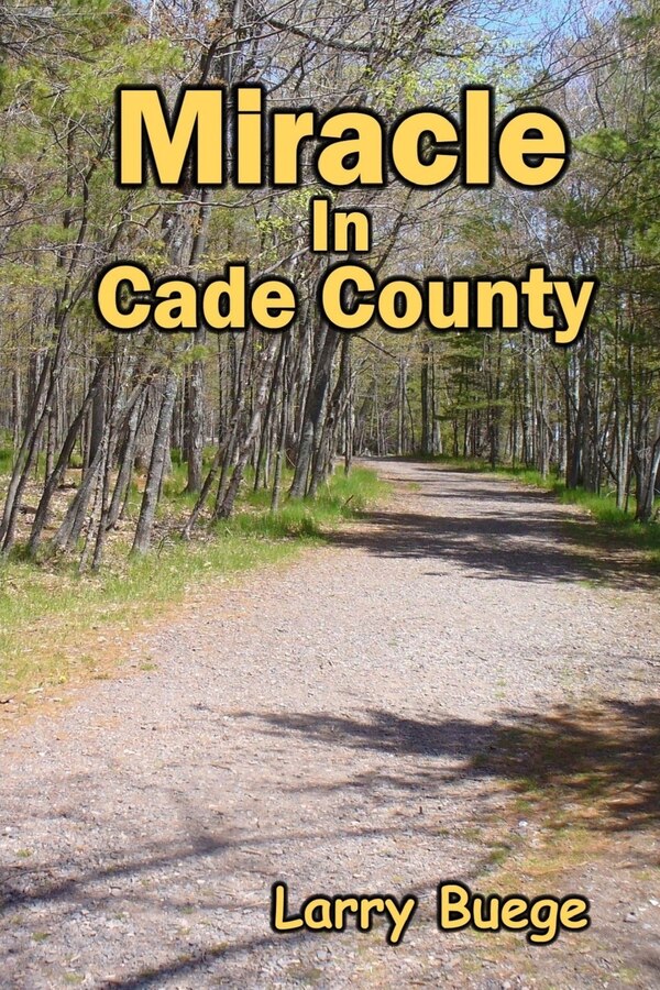 Miracle in Cade County by Buege, Paperback | Indigo Chapters