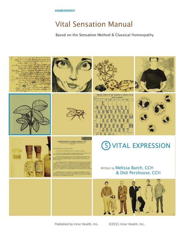 Vital Sensation Manual Unit 5 by Didi Pershouse Cch, Paperback | Indigo Chapters