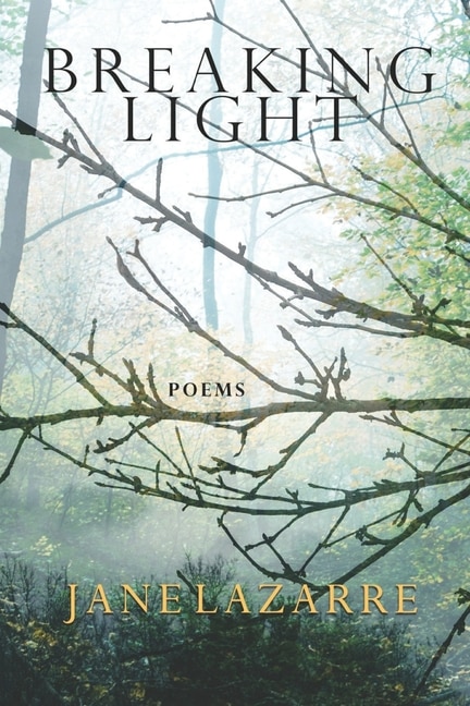 Breaking Light by Jane Lazarre, Paperback | Indigo Chapters