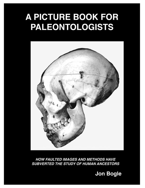A Picture Book for Paleontologists by Jon Bogle, Paperback | Indigo Chapters