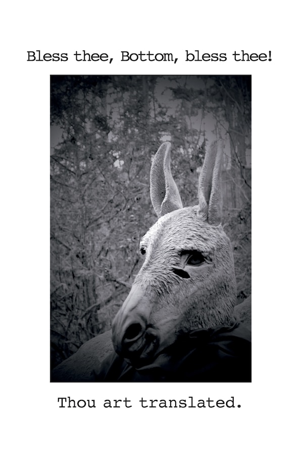 Bless thee Bottom bless thee Thou art translated by Lou Rowan, Paperback | Indigo Chapters