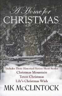 A Home for Christmas by MK McClintock, Paperback | Indigo Chapters