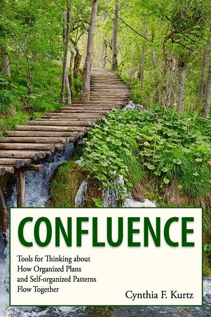 Confluence by Cynthia F Kurtz, Paperback | Indigo Chapters