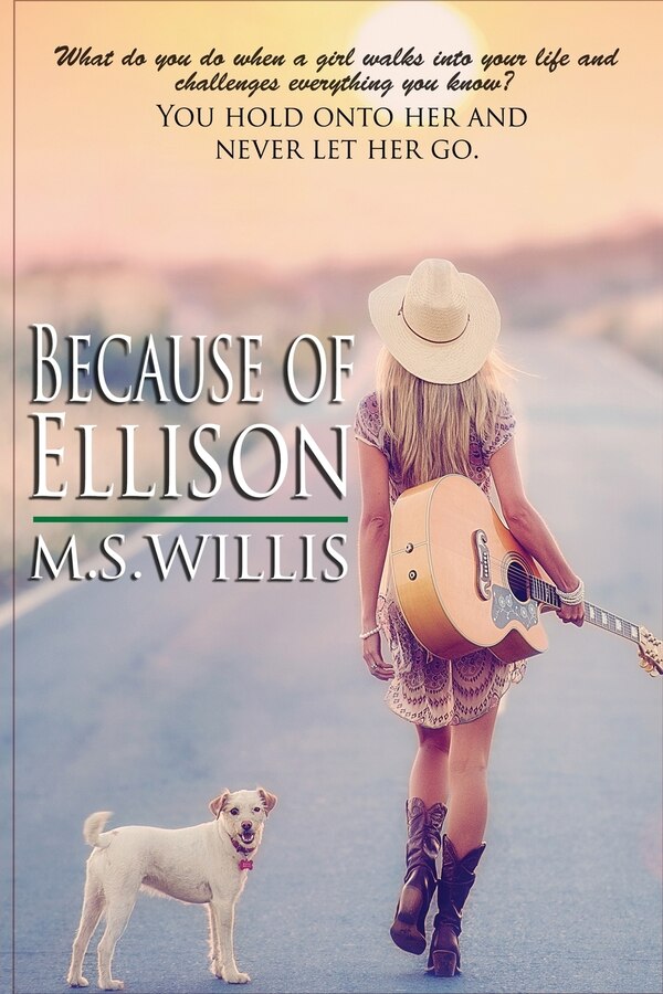 Because of Ellison by M S Willis, Paperback | Indigo Chapters