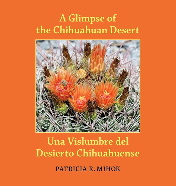 A Glimpse of the Chihuahuan Desert/Una Vislumbre del Desierto Chihuahuense by Patricia R Mihok, Hardcover | Indigo Chapters