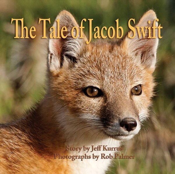 The Tale of Jacob Swift by Jeff Kurrus, Hardcover | Indigo Chapters