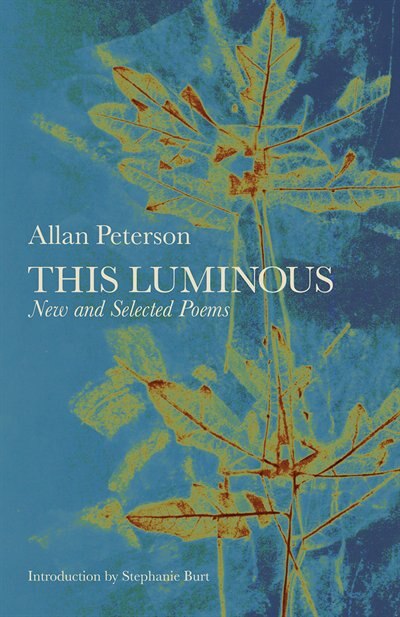 This Luminous by Allan Peterson, Paperback | Indigo Chapters