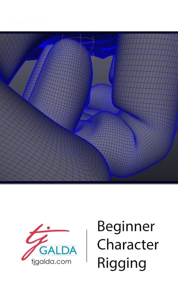 Beginner Character Rigging by Tj Galda, Hardcover | Indigo Chapters
