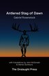 Antlered Stag of Dawn by Gabriel Rosenstock, Paperback | Indigo Chapters