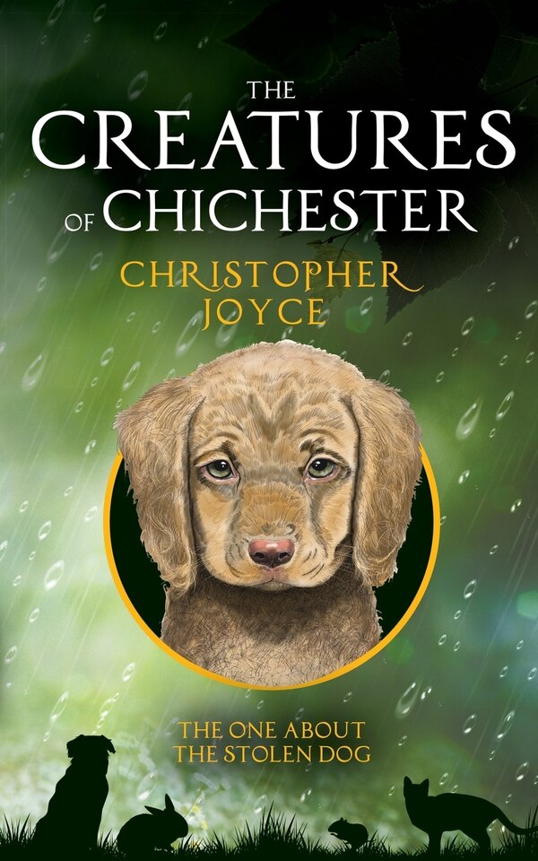 The Creatures of Chichester by Christopher Joyce, Paperback | Indigo Chapters
