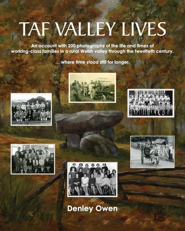 Taf Valley Lives by Denley Owen, Paperback | Indigo Chapters