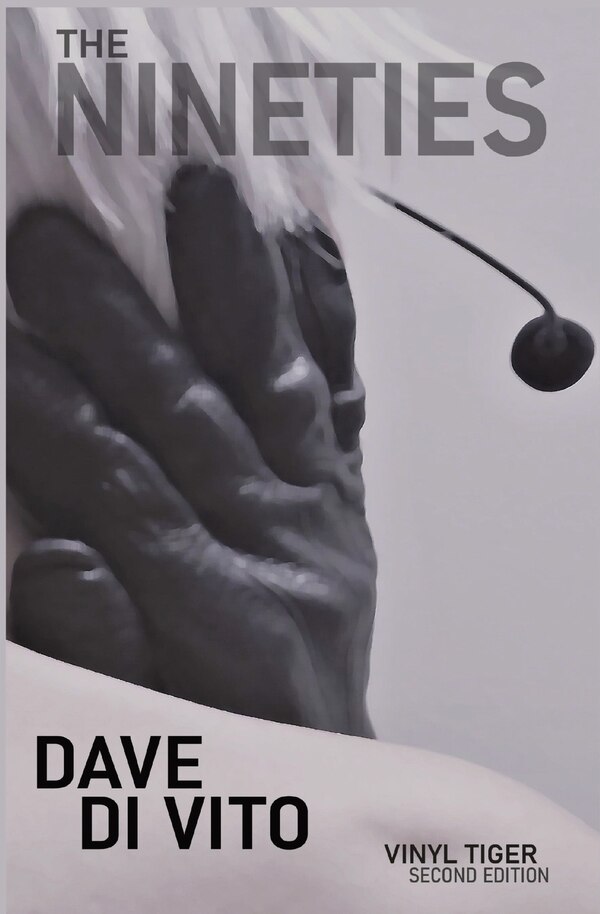 The Nineties by Dave Di Vito, Paperback | Indigo Chapters