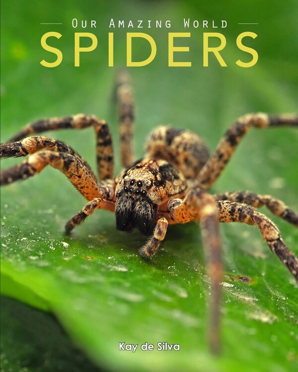 Spiders by Kay de Silva, Paperback | Indigo Chapters