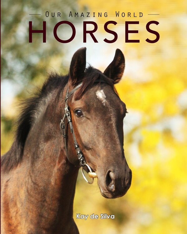 Horses by Kay de Silva, Paperback | Indigo Chapters