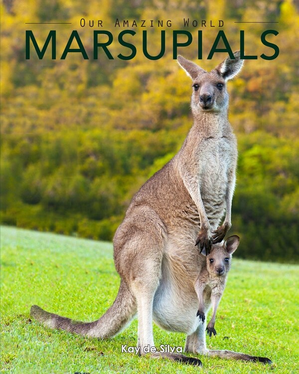 Marsupials by Kay de Silva, Paperback | Indigo Chapters